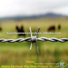 Hot-dipped galvanized barbed wire with reasonable price in store